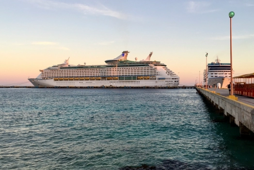 Two cruise ships stopped at a port