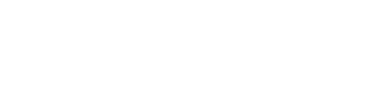 Travel Protect Logo